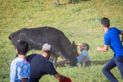 Un sanjuanero ante las astas del novillo.