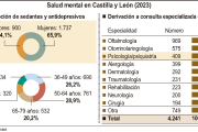 Cuadro sobre Salud mental en Castilla y León.