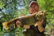 La pesca tiene sus sinsabores, pero también sus alegrías. Demetrio Silvestre se llevó una de las grandes en su visita al río Ucero. Una trucha de más de tres kilos y 70 centímetros picó y acabó en la sacadera de este pescador. Los mayores del lugar y los parroquianos del lugar no recordaban un 'pepino' de este tamaño. Hubo vídeo, fotos y devolución al agua, que la pesca sin muerte permite que otros compañeros acudan al río con la ilusión renovada.