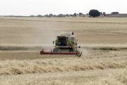 Las cosechadoras se generalizarán en Soria a partir de la semana que viene.
