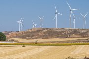 Aerogeneradores junto a un campo de cultivo.