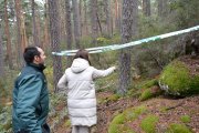 Lugar donde se ha encontrado en un bosque de Soria la granada.