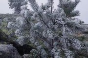 El otoño trae temperaturas suaves para buena parte de Soria en estos días, pero conforme se va ganando altitud la cosa cambia y muta en paisajes invernales. Es el caso de los que ofrece Urbión, acercados gracias a la cámara del responsable de la estación Meteoclimatic de Duruelo de la Sierra, Agustín Sandoval.<br /><br />"Paisajes de pleno invierno, esta mañana a primera hora, en las cumbres de Urbión. Cencellada, hielo y sensación térmica en torno a 10 bajo cero a 2.100 metros", relata en su cuenta de X (Twitter).