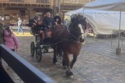 20 puestos en la plaza mayor de la localidad