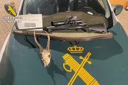 Arma y cráneo de corzo intervenidos a un hombre detenido en Sanchidrián (Ávila).
SOCIEDAD 
GUARDIA CIVIL DE ÁVILA