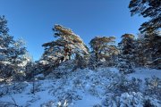 Amantes de la montaña han disfrutado de estos bellos paisajes nevados.