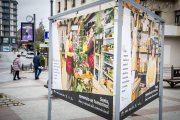 Exposición 'Comercio en femenino' en la plaza del Olivo.