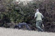Cazador de caza menor con el perro.