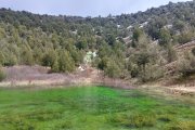 Cabrejas del Pinar