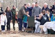 Juan Carlos Suárez-Quiñones participa en la suelta de dos ejemplares de lince ibérico, por el momento al recinto de aclimatación.