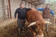 Los hermanos David y Daniel posan con sus vacas en Fuentenebro.