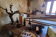 San Esteban de Gormaz abre las puertas a la memoria y al arte de la elaboración del vino.