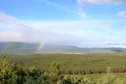 El proyecto está enfocado a los recursos forestales.