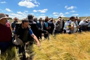 Jornada anterior en los campos de ensayo de Asaja Soria en Almazán.