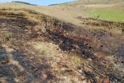 Incendio en Aylloncillo.
