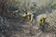 Un total de 88 medios trabajan para sofocar el incendio del Tiétar tras una “noche tranquila” y sin reproducciones.