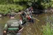 Agentes medioambientales en las tareas de rescate de peces en el río Tera.