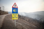 Zona calcinada tras el paso del incendio forestal, a 17 de agosto de 2025, en Quiroga, Lugo.