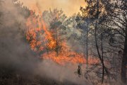 Llamas en el incendio de Eparoz.