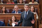 Alberto Núñéz Feijoó esta semana en el Congreso.