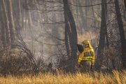 Un bombero forestal con su batefuegos vigila el escenario de un incendio.