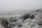 Nieve en las inmediaciones de Soria capital.