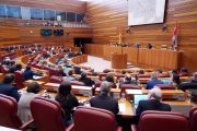 Votación en la segunda sesión del pleno de las Cortes de Castilla y León.