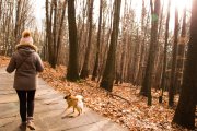 Los paseos en invierno deben ser más cortos y frecuentes para evitar que los perros pequeños pierdan temperatura corporal.
