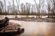 Terrenos anegados por el río Duero en Soria a la altura de San Esteban de Gormaz.