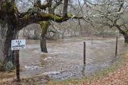 La Junta de los Ríos Duero y Tera, desbordaba en Soria.
