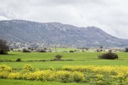 Imagen del entorno del pueblo de Soria con mayor renta de la provincia.