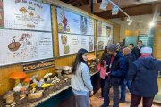 Las III Jornadas del marzuelo de Navaleno estrenan la Primavera micológica en Montes de Soria.