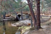 El Puente de Santo Domingo, de origen románico, cruza el joven Duero entre los pinares de Covaleda y forma parte de la Ruta de los Puentes (PRC-SO 75).