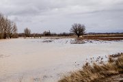 Campo inundado en Soria por las últimas lluvias.