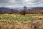Panorámica del paisaje cercano a Villar del Ala, en el Valle de la Mantequilla de Soria, con praderas y al fondo las cumbres nevadas de la Sierra de Urbión a comienzos de primavera