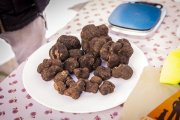 Trufas en la última Feria de Abejar.