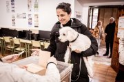 Una jornada para elegir representantes en Castilla y León