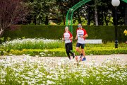 La alergia se dispara con la llegada de la primavera y hacer deporte al aire libre necesita de una serie de consejos.