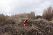 Un efectivo del Servicio de Prevención y Extinción de Incendios realiza tareas de desbroce durante el invierno en la Sierra de la Culebra (Zamora).