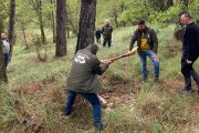 El municipio soriano revive la Pingada del Mayo prescindiendo de la tecnología.
