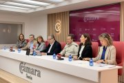 El presidente de la Cámara, Alberto Santamaría, con representantes del pleno.