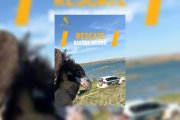 La Guardia Civil y Medio Ambiente rescatan en Soria a un buitre negro herido.
