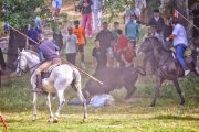 Los novillos rezagados han provocado más de un susto entre los sanjuaneros durante el encierro.