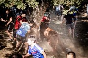 Festejo del Lavalenguas en la pradera.