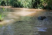 Río Huerva a su paso por Zaragoza.