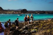 Las Islas Galápagos, descubiertas accidentalmente por Fray Tomás de Berlanga durante un viaje hacia Perú, se han convertido en uno de los espacios naturales más valiosos y biodiversos del planeta.