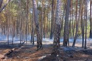 Actuación de los bomberos en el incendio de Navaleno.