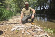 Un pescador muestra numerosos peces muertos extraídos de las aguas del río Ucero.