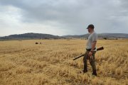 Uno de los miles de cazadores que estrenaron la media veda en los campos sorianos.