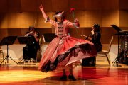 Detalle de un concierto de Armonía Danza & Ensemble ConcertArt.